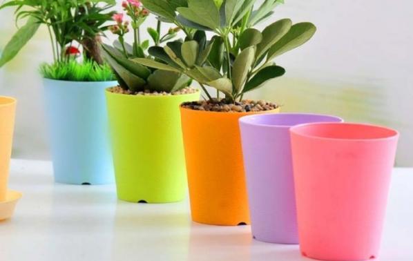 اطلاعات مختصری درباره گلدان پلاستیکی جدید