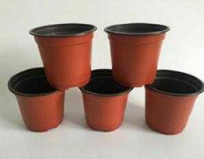 گلدان پلاستیکی ژله ای گلخانه