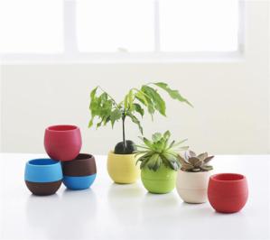 گلدان کوچک رنگی