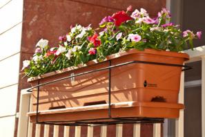 گلدان پلاستیکی بالکنی